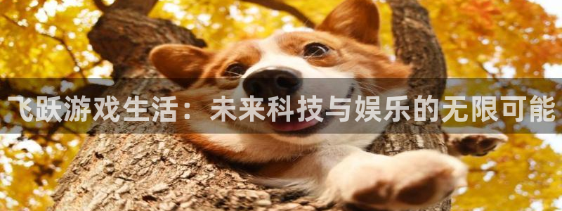 多彩娱乐4开户：飞跃游戏生活：未来科技与娱乐的无限可能