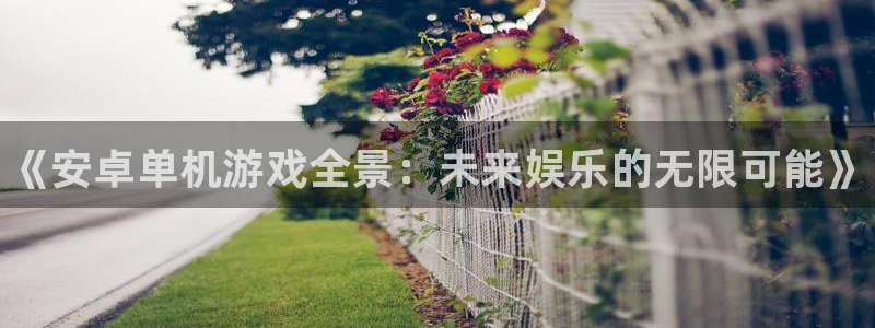 多彩娱乐官方平台：《安卓单机游戏全景：未来娱乐的无限可能》