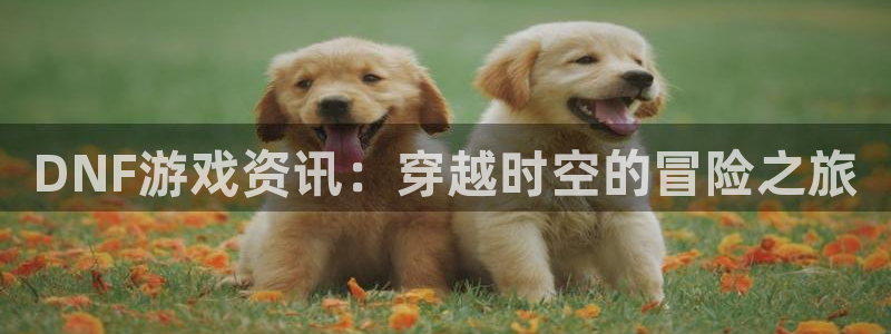 多彩娱乐网页登录入口官网：DNF游戏资讯：穿越时空的冒险之旅