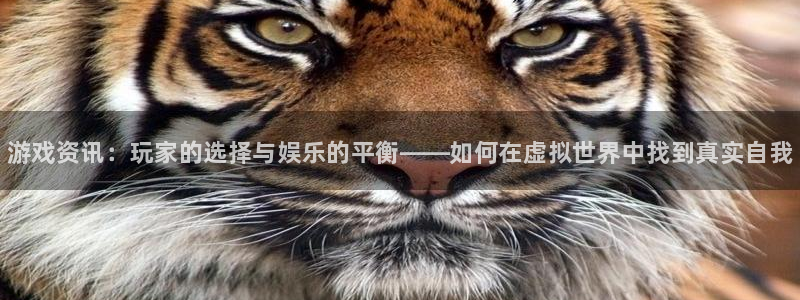 多彩娱乐Ii：游戏资讯：玩家的选择与娱乐的平衡——如何在虚拟