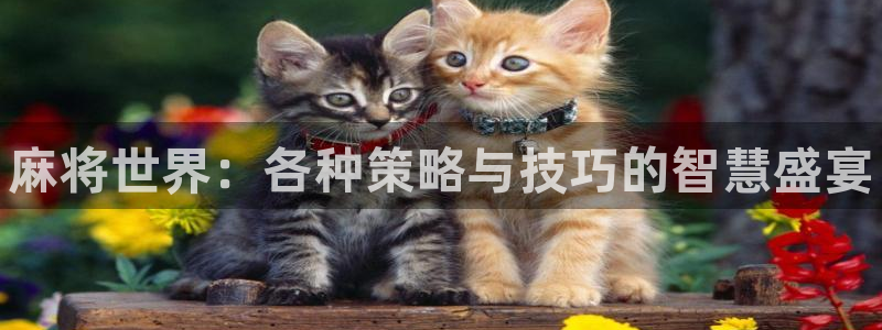 多彩娱乐登录：麻将世界：各种策略与技巧的智慧盛宴