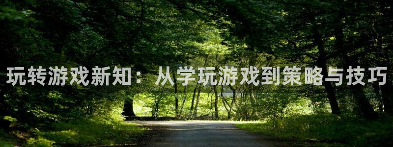 多彩娱乐游戏：玩转游戏新知：从学玩游戏到策略与技巧
