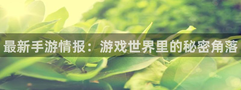 多彩娱乐测速登陆：最新手游情报：游戏世界里的秘密角落