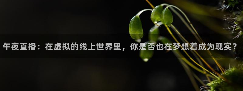 jrkan直播nba在线观看