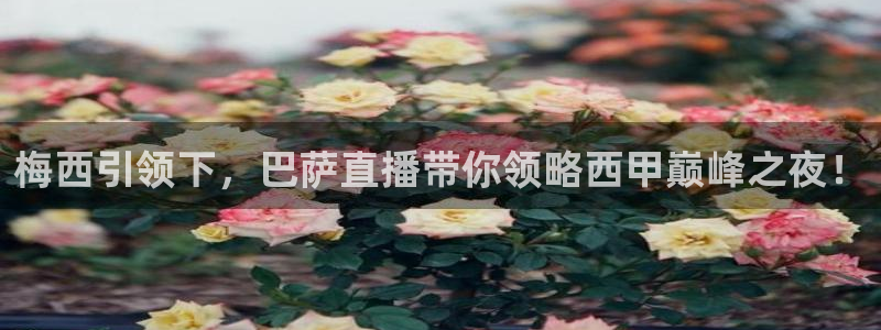 jrkan直播免费高清体育直播nba：梅西引领下，巴萨直播带你领略西甲巅峰之夜！